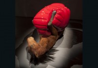 Judges announced for Catlin Art Prize 2012