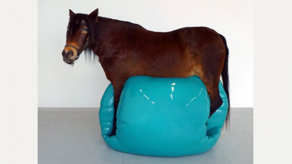 catlin-art-prize-2012-2