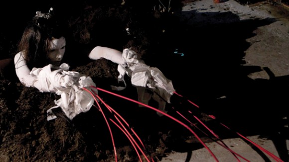 nicky-deeley-image-for-ln-website