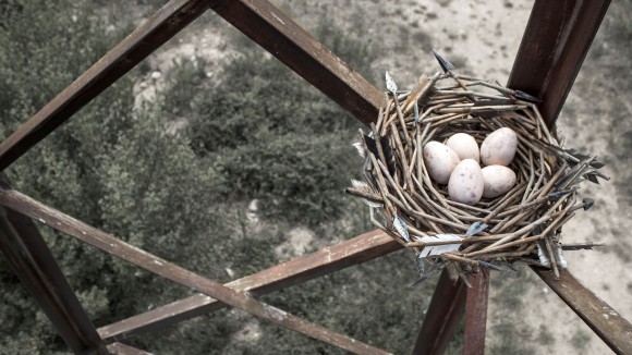 Pejac - Law of the Weakest